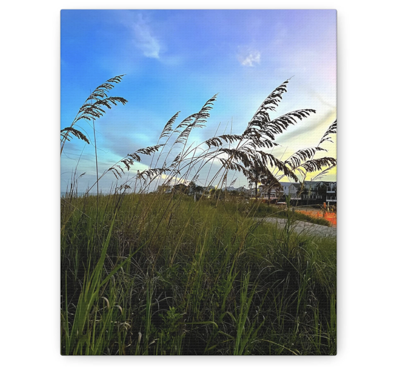 grassy landscape near the ocean colorful sky